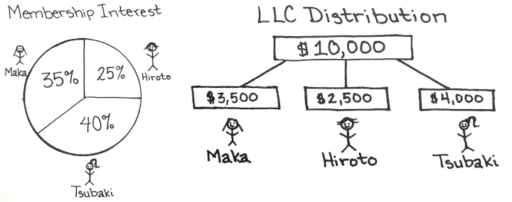 LLC Distributions